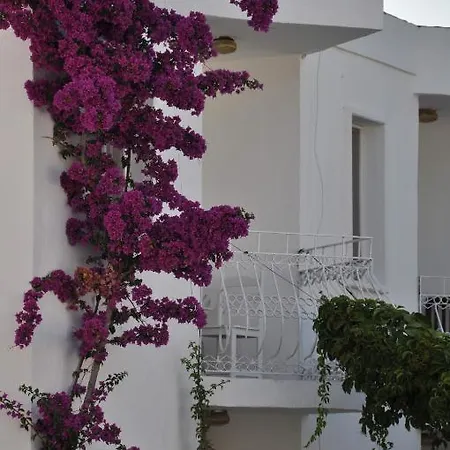 Otel Ilgin *